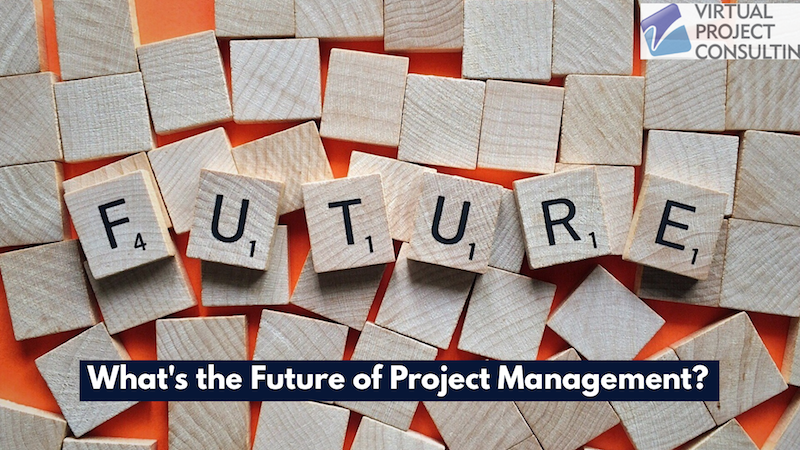 What's the Future of Project Management?  Virtual Project Management Consulting